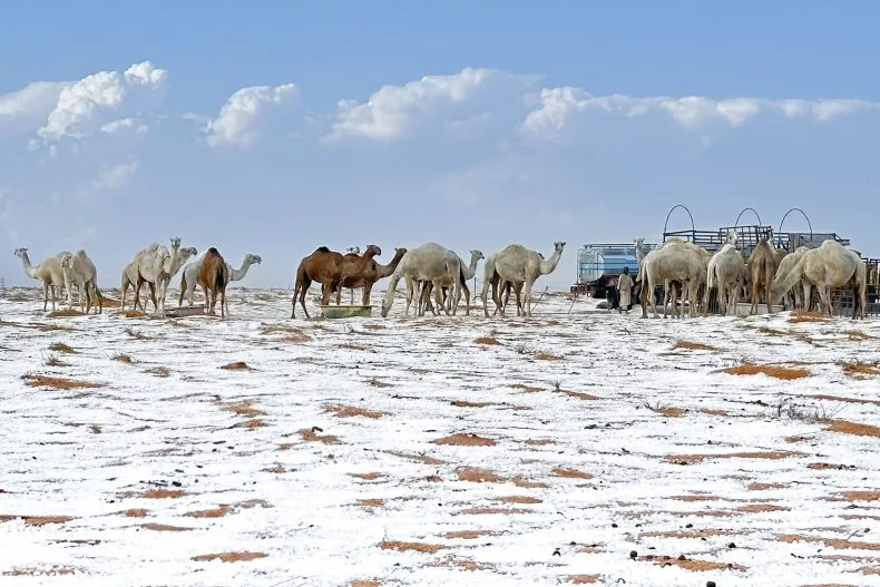 El desierto de Arabia Saudita se cubrió de nieve por primera vez