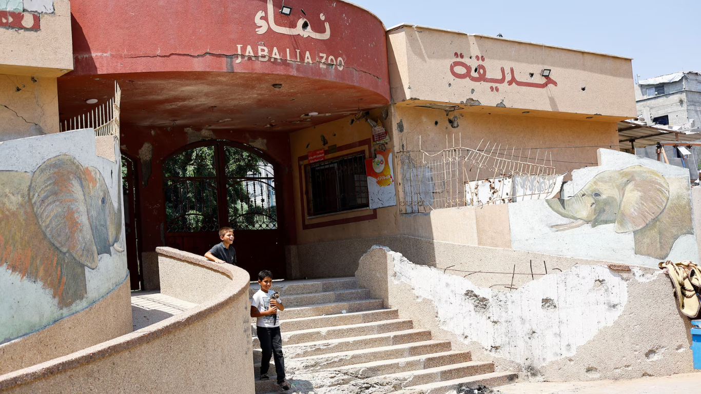 Un zoológico en Gaza lucha por mantener vivos a sus animales