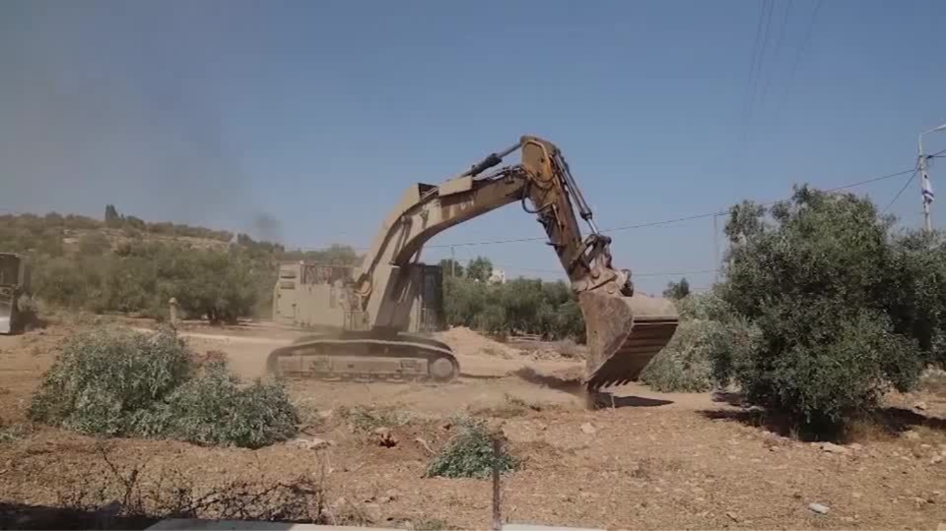 Ejército israelí arranca decenas de olivos palestinos en Arraba, Cisjordania